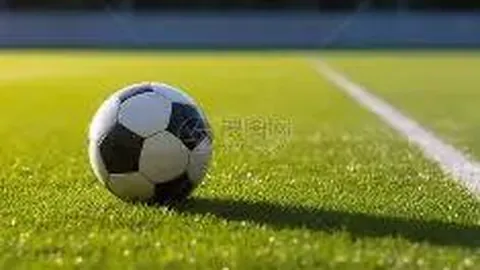 【双色球盛宴】第2025141期独家揭秘：必杀红球一码，11号闪耀登场！