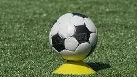 大乐透2026046期专家质合分析推荐，前区十码胆拖技巧