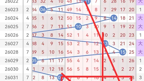 第2026048期 大乐透2026048期走势分析及专家推荐