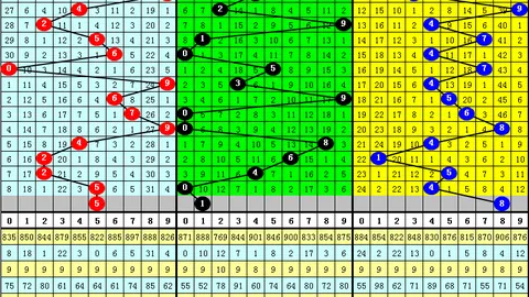 第2026026期 推荐 大乐透2026026期小井稳荐质合