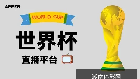 世界杯投注赛果出炉讨论迅速升温