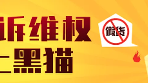 焦点对决：风暴对决飞马，全面解析战况